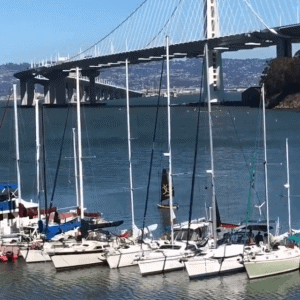 tiwal sailing in san francisco california